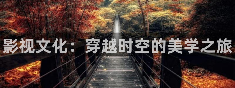 飘雪影院在线观看完整版免费高清：影视文化：穿越时空的美学之旅