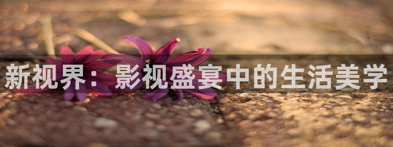 飘雪影院完整版在线观看视频：新视界：影视盛宴中的生活美学