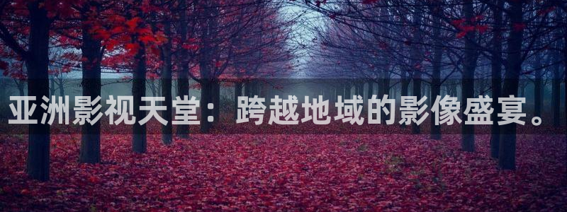 飘雪影院在线观看免费完整手机播放：亚洲影视天堂：跨越地域的影像盛宴。