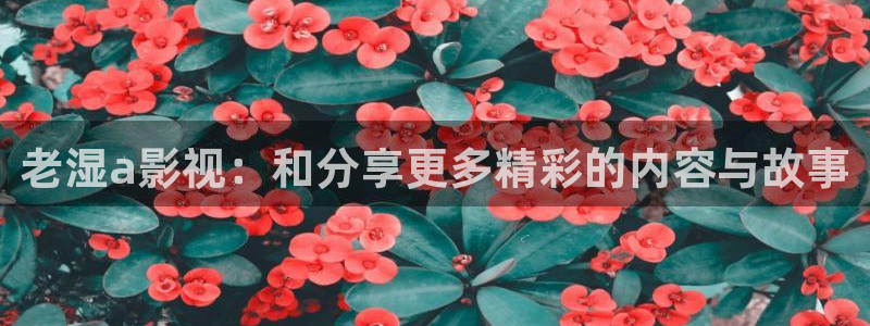 飘雪影院在线观看免费版高清：老湿a影视：和分享更多精彩的内容与故事