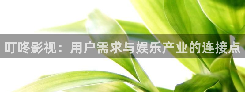 飘雪影院完整版在线观看：叮咚影视：用户需求与娱乐产业的连接点