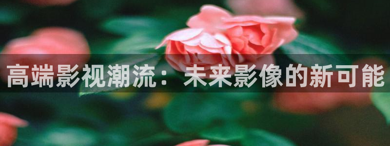 飘雪影院在线观看第一集：高端影视潮流：未来影像的新可能