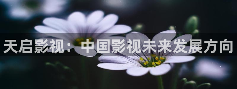 飘雪影视在线看：天启影视：中国影视未来发展方向