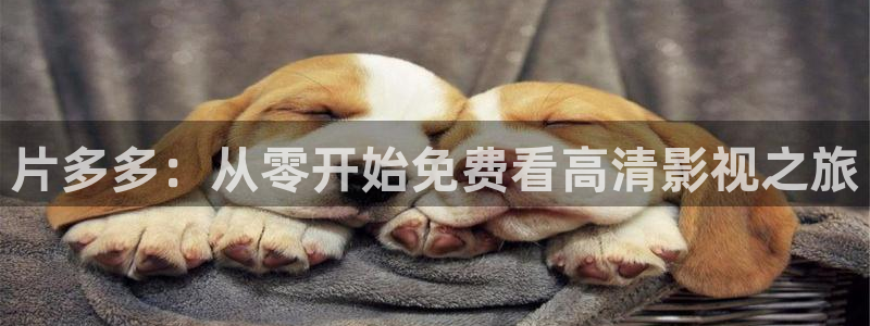 飘雪影院怎么免费看：片多多：从零开始免费看高清影视之旅