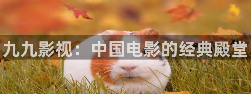 飘雪影院观看免费完整版高清影视大：九九影视：中国电影的经典殿堂