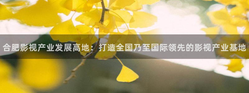 飘雪影视在线免费观看：合肥影视产业发展高地：打造全国乃至国际领先的影视产业基地