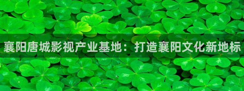 飘雪影院在线观看免费播放最新：襄阳唐城影视产业基地：打造襄阳文化新地标
