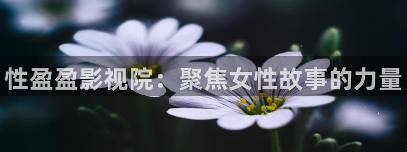 飘雪影院电影在线观看：性盈盈影视院：聚焦女性故事的力量
